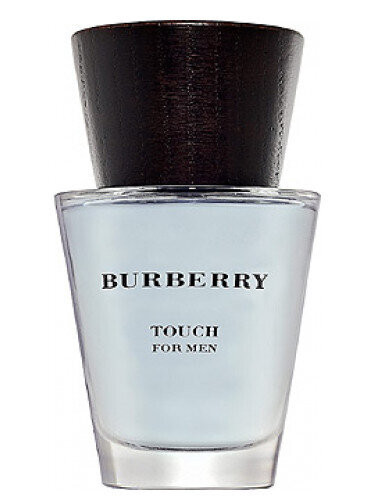 Touch for Men by Burberry