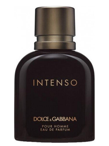 Pour Homme Intenso by Dolce &amp; Gabbana