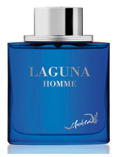 Laguna Homme by Salvador Dali