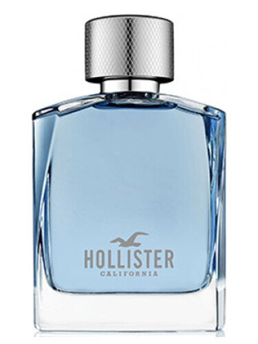 Free Wave For Him Hollister