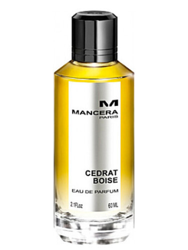 Cedrat Boise by Mancera