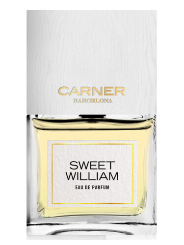Sweet William by Carner Barcelona