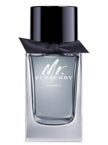 Mr. Burberry Indigo Burberry