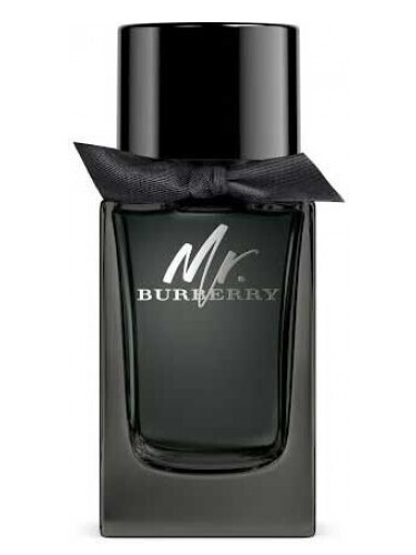Mr. Burberry Eau de Parfum by Burberry 100ML (men)