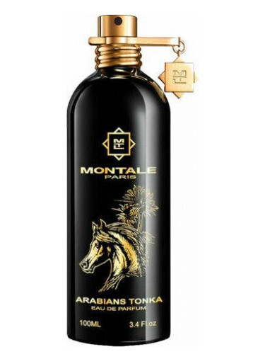 Arabians Tonka by Montale