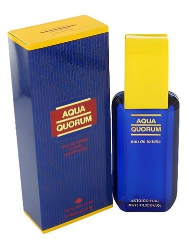 Aqua Quorum by Antonio Puig 100ML Tester (Men)