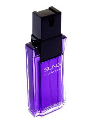 Sung Homme by Alfred Sung 100ML Tester