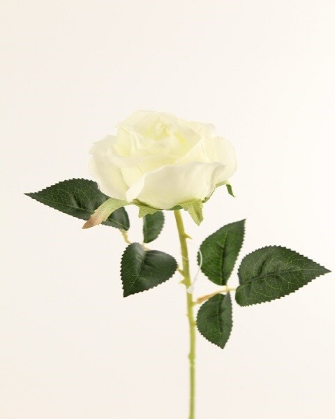 BOCCIOLO ROSA PICCOLO BIANCO
