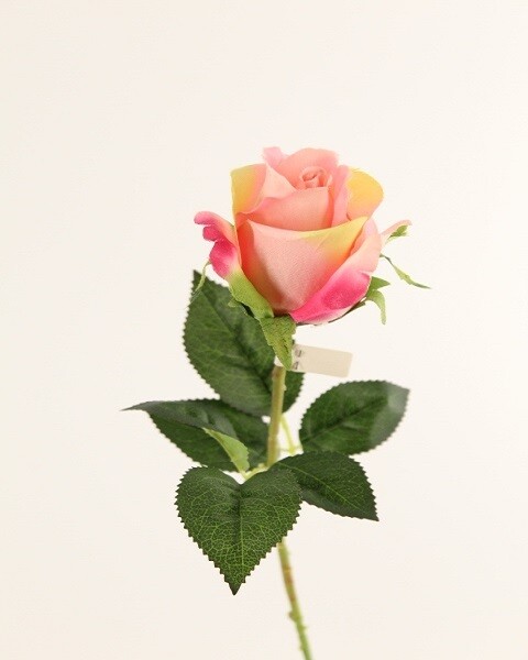 BOCCIOLO ROSA PICCOLO ROSA