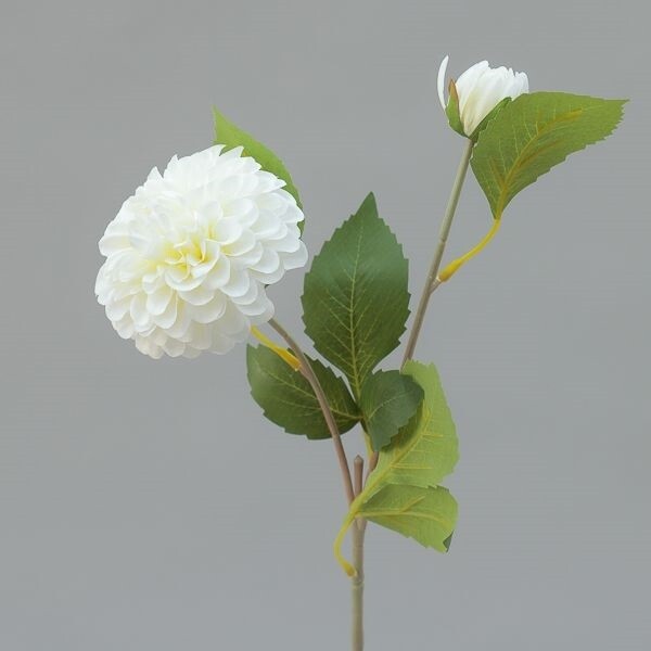 RAMO ZINNIA  X  2 CM  CM 60 CREAM