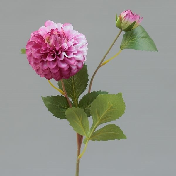 RAMO ZINNIA  X  2 CM  CM 60 BEAUTY