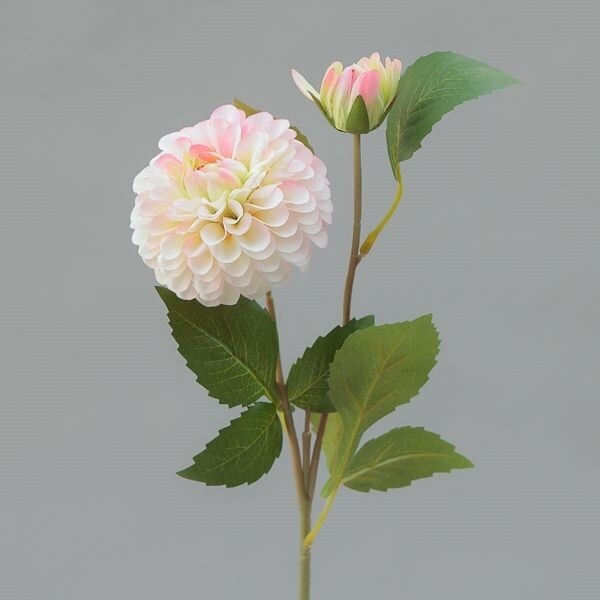 RAMO ZINNIA  X  2 CM  CM 60 CREAM PINK