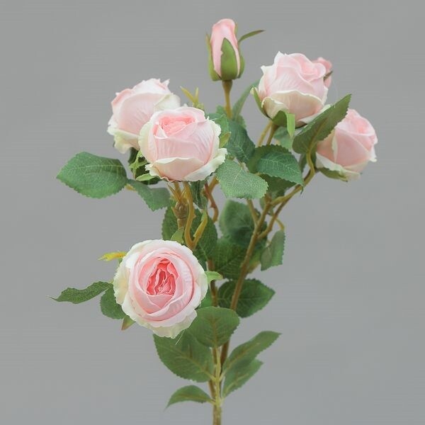 RAMO ROSE MINI CM62 LT PINK