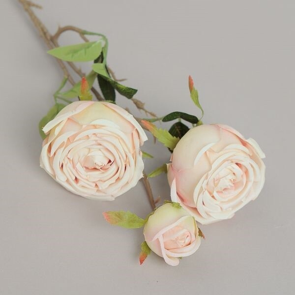 RAMO ROSA   X3  CM65 CHAMPAGNE