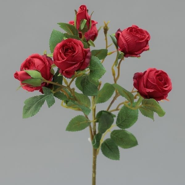 RAMO ROSE MINI CM62 RED
