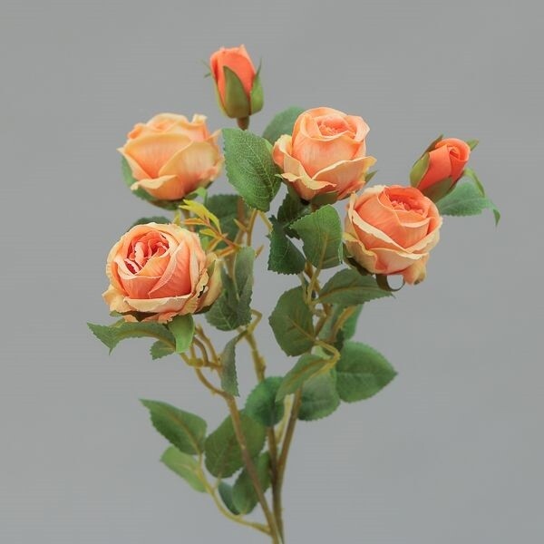RAMO ROSE MINI CM62 ORANGE