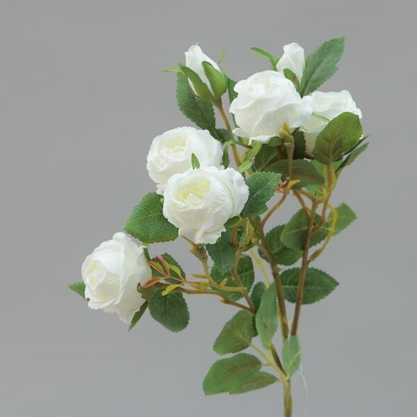RAMO ROSE MINI CM62 CREAM