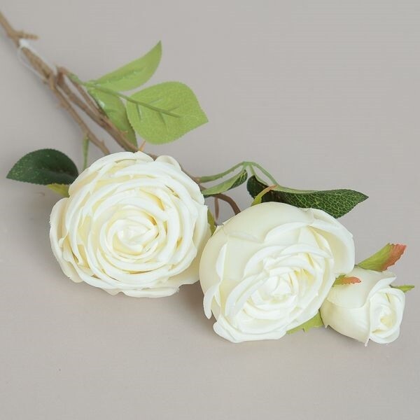 RAMO ROSA   X3  CM65 CREAM