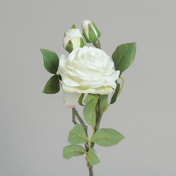 RAMO ROSA X 3  CM47 CREAM