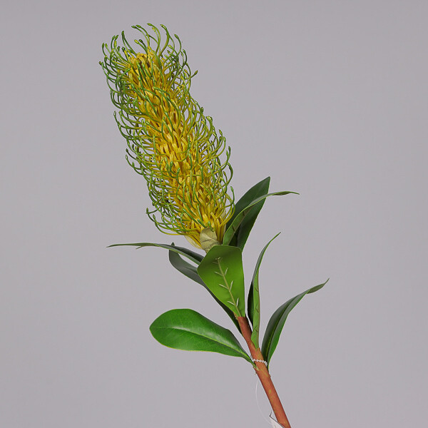 RAMO PROTEA CM 72 LT GREEN