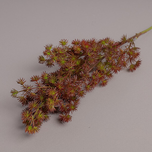 RAMO PINO X 18 CM 72 BURGUNDY