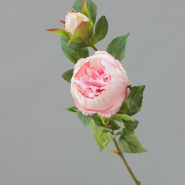 RAMO PEONIA  X  2 CM  78 PINK
