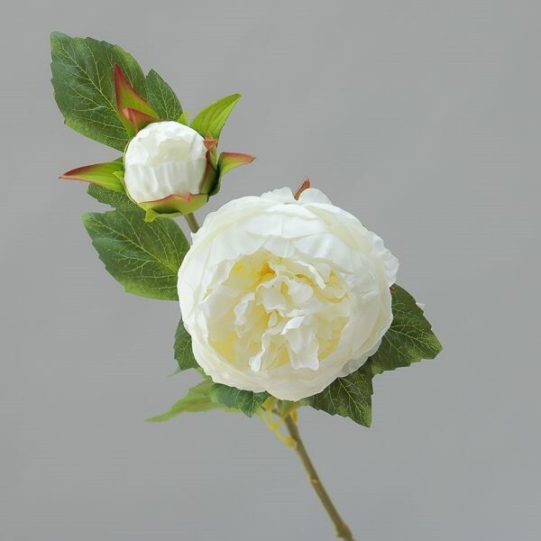 RAMO PEONIA  X  2 CM  78 CREAM