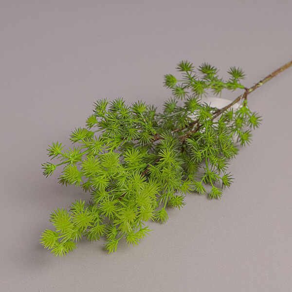 RAMO PINO X 18 CM 72 WHITE GREEN