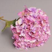RAMO ORTENSIA  SING.CM 109 LAVENDER