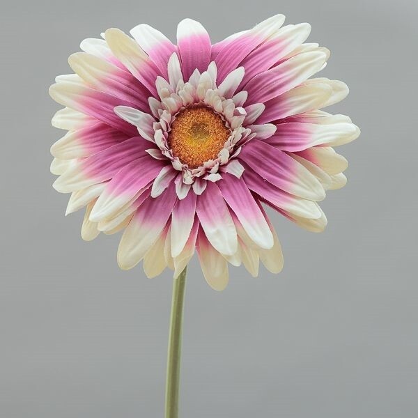 RAMO GERBERA GIGANTE CM 110 BEAUTY