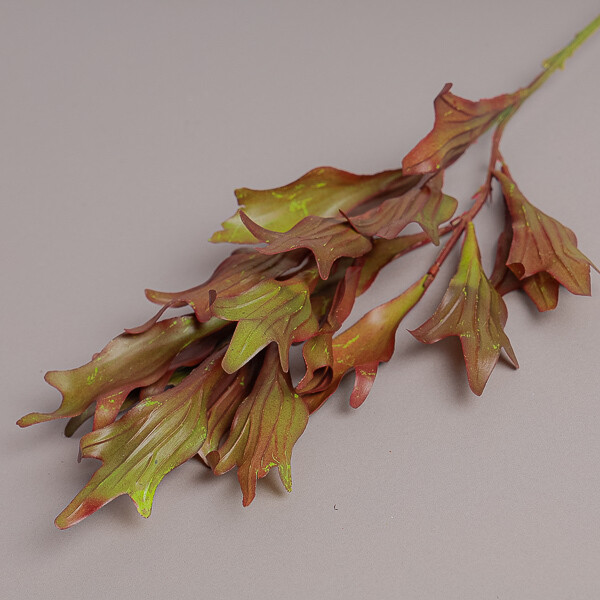 RAMO FOGLIE PLATICERIUM X19 CM75 BURGUNDY