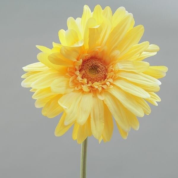 RAMO GERBERA GIGANTE CM 110 YELLOW
