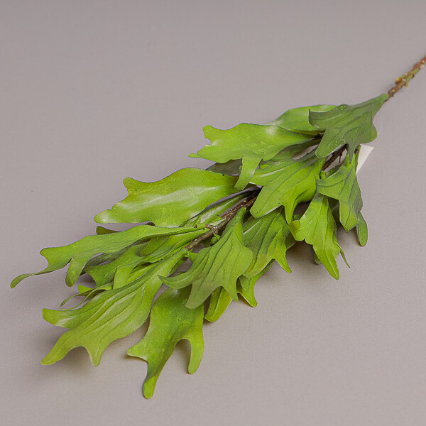 RAMO FOGLIE PLATICERIUM X19 CM75 GREEN