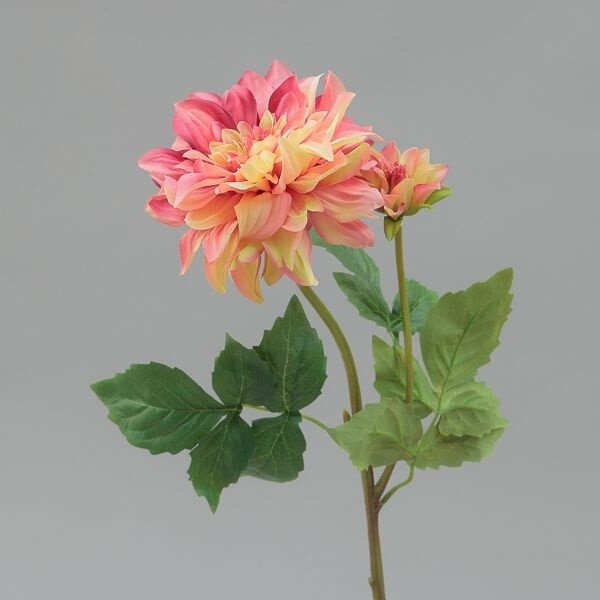 RAMO DALIA X 2  CM 60 PINK