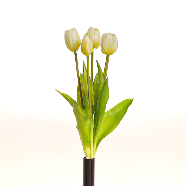 MAZZO TULIPANO X 5  CM 39 WHITE