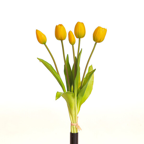 MAZZO TULIPANO X 5  CM 39 YELLOW