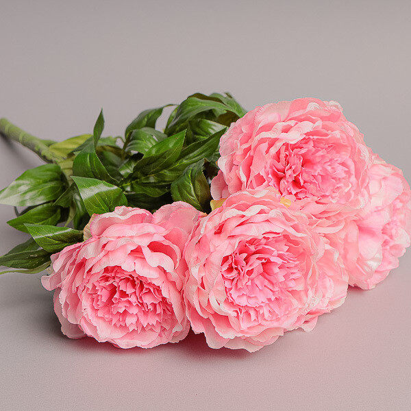 MAZZO PEONIA X 5 30CM PINK