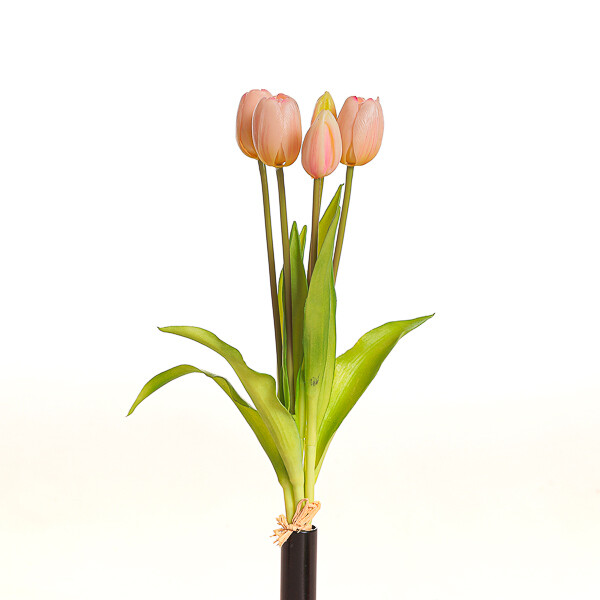 MAZZO TULIPANO X 5  CM 39 LT PINK