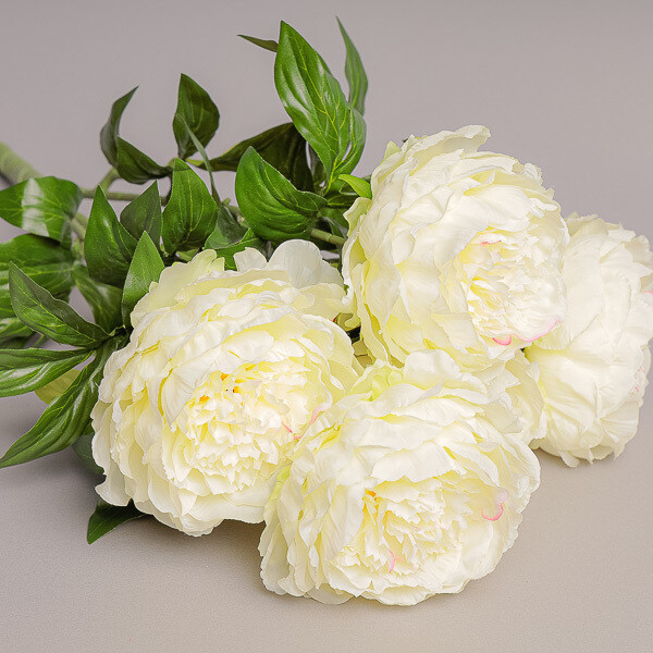 MAZZO PEONIA X 5 30CM CREAM