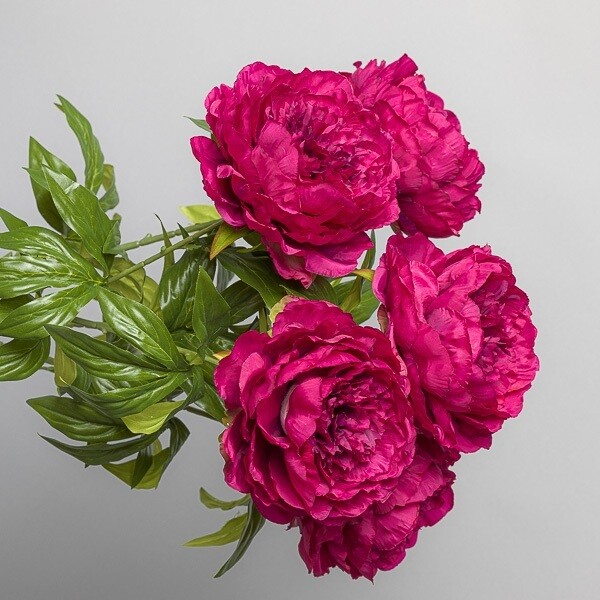 MAZZO PEONIA X 5 30CM BEAUTY