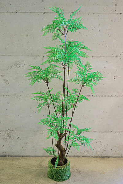 PIANTA  FELCE  IN VASO  61*55*186 CM