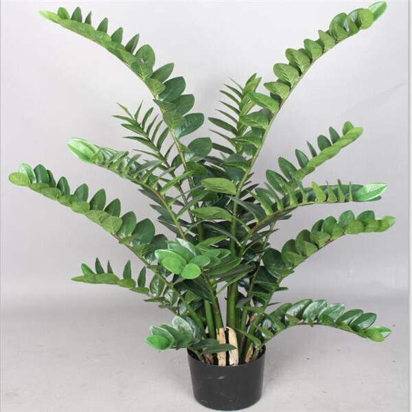 PIANTA ZAMIFOLIA C/VASO CM 130