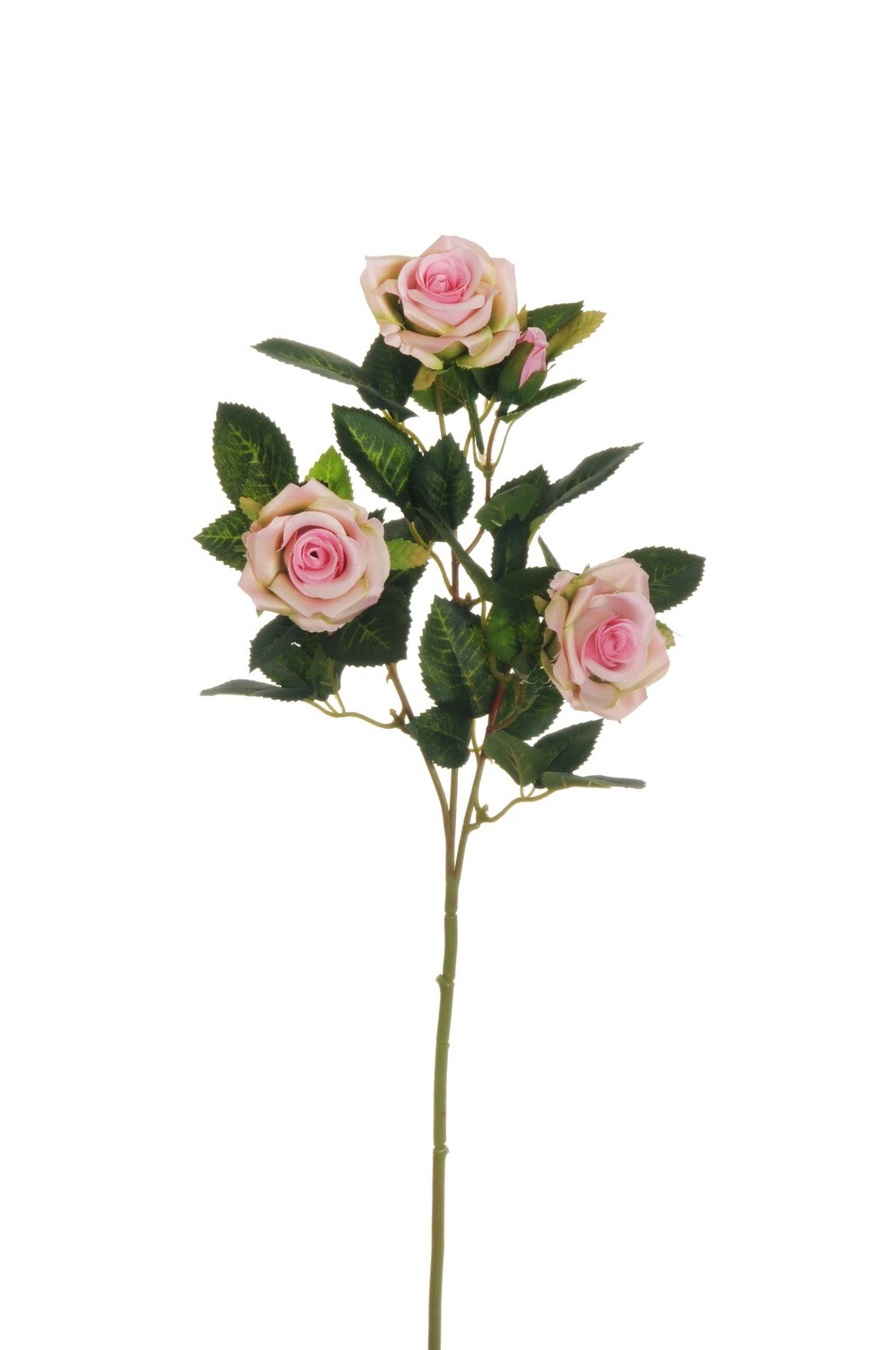FIORE ROSA MEDIA ROSA