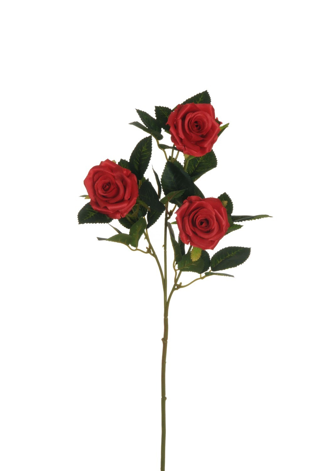 FIORE ROSA MEDIA ROSSO