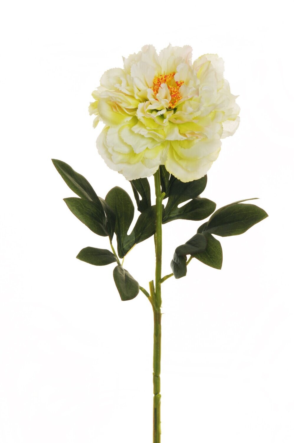 FIORE PAEONIA MEDIA BIANCO