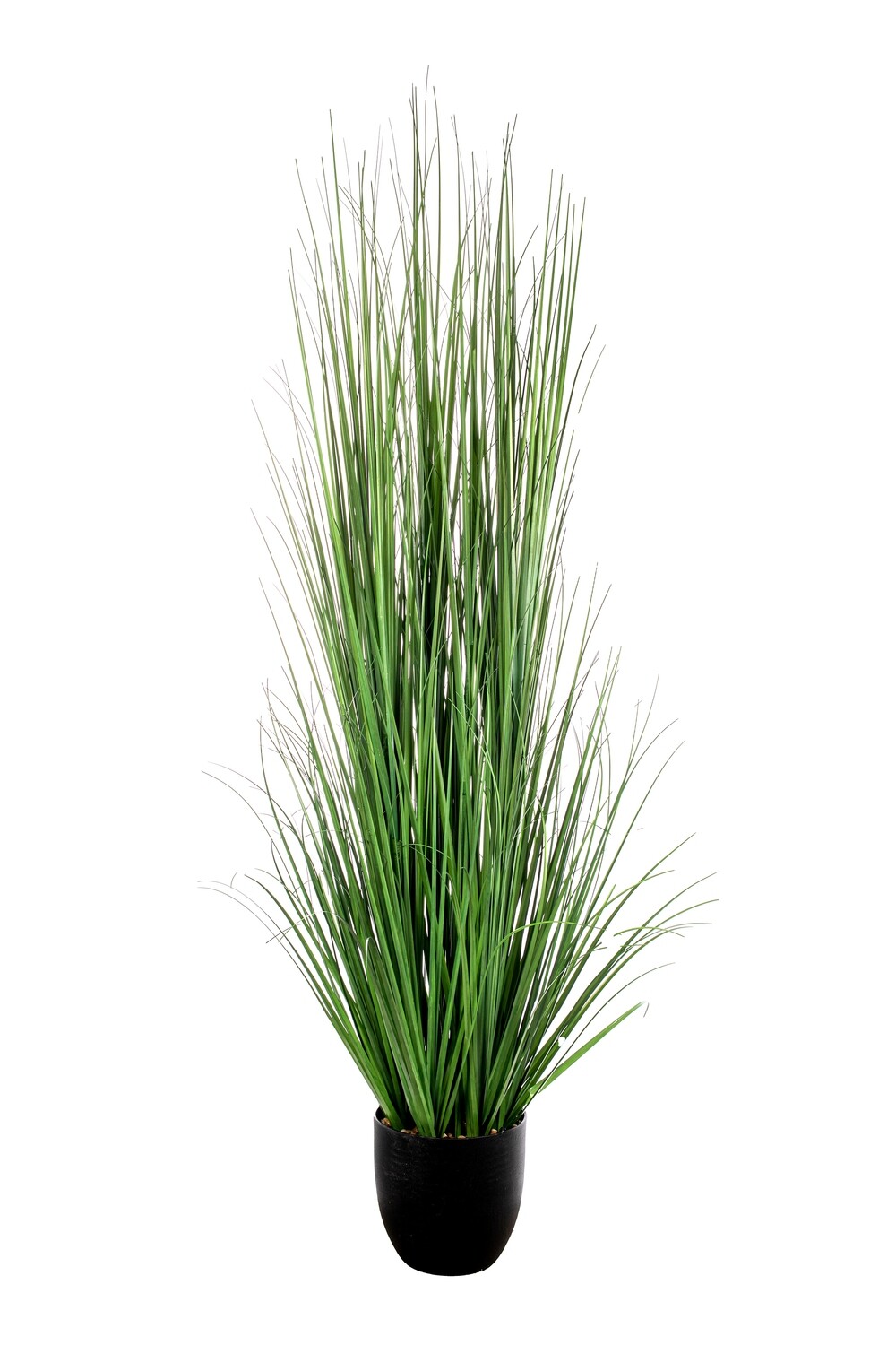 PIANTA ERBA CON VASO CM.150