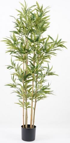 BAMBOO IN VASO 150 CM C/864 FOGLIE VERDE