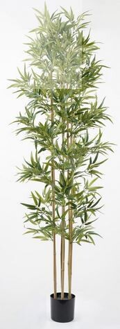 BAMBOO IN VASO 210 CM C/1440 FOGLIE