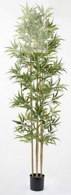 BAMBOO IN VASO 210 CM C/1440 FOGLIE