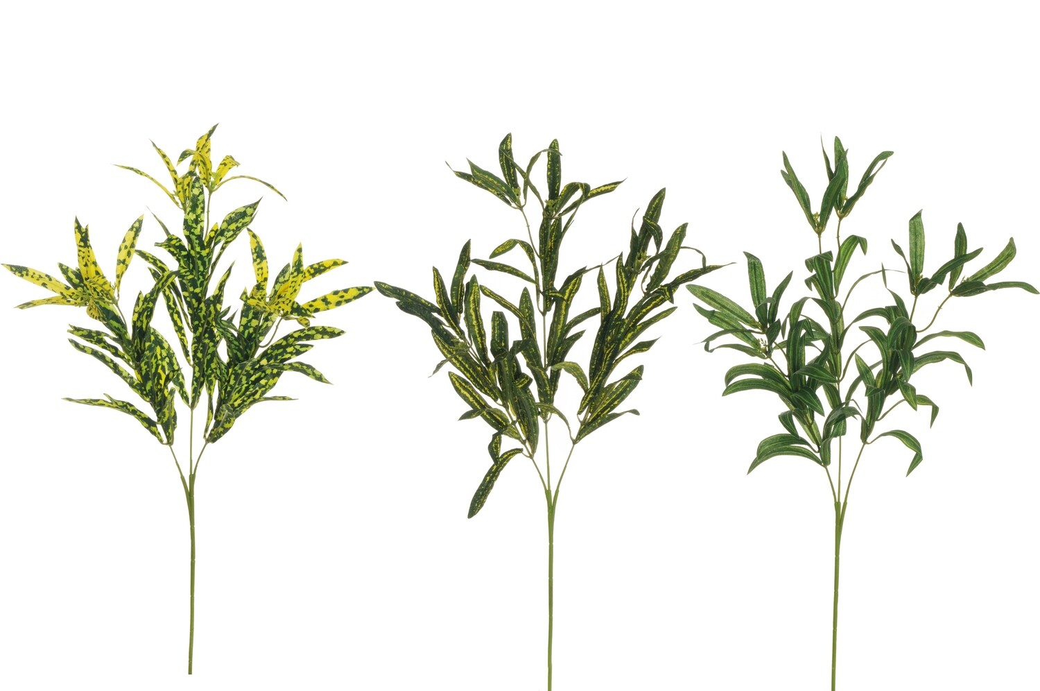 RAMO VERDE MEDIO ASSORTITO